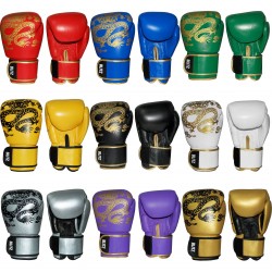 Gants de Boxe WARRIOR by Blitz