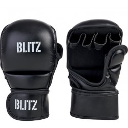 GANTS Blitz Avenger MMA Sparring